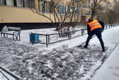 В понедельник на уборку петербургских улиц вышли почти 1,3 тысячи дворников