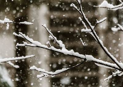 Во вторник в Рязанской области ожидаются мокрый снег и гололедица