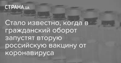 Стало известно, когда в гражданский оборот запустят вторую российскую вакцину от коронавируса