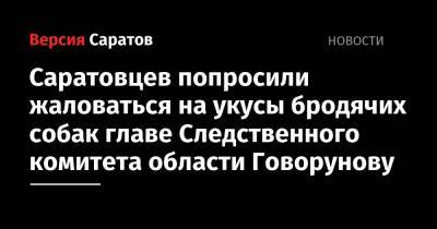 Саратовцев попросили жаловаться на укусы бродячих собак главе Следственного комитета области Говорунову