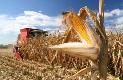 В Черкасской области заканчивают уборку зерновых культур
