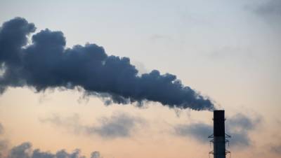 Прокуратура потребовала наказать петербургскую компанию за вредные выбросы