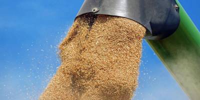 Руководителя филиала Госрезерва подозревают в растрате зерна на 2,8 млн грн — НАБУ