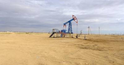 В ОАЭ нашли новые месторождения нефти