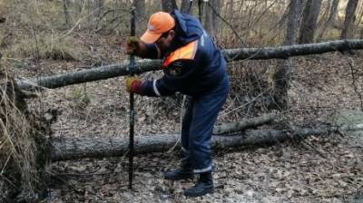 Тело 47-летнего пензенца нашли в лесном болоте вмерзшим в лед