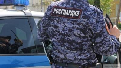 Штрафы за неповиновение правоохранителям в РФ могут повысить