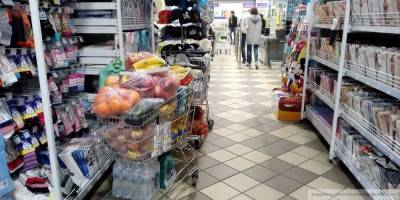Аналитики спрогнозировали рост цен на базовые продукты в России
