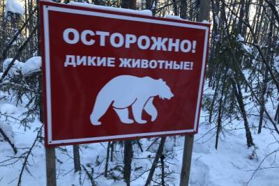 Ярославцев просят не приставать к диким животным