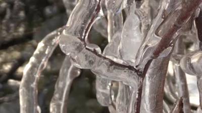 В Приморье ликвидируют последствия ледяного дождя