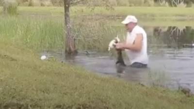 Американец спас свою собаку из пасти аллигатора