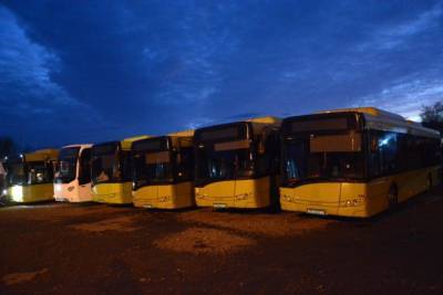 Во Львове запускают экологические автобусы: как они выглядят – фото, видео