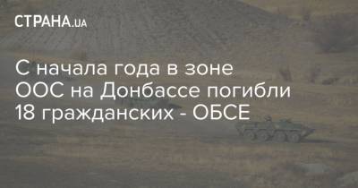 С начала года в зоне ООС на Донбассе погибли 18 гражданских - ОБСЕ