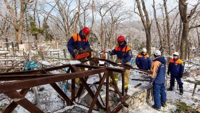 В Минэнерго заявили о восстановлении электросетей в Приморье к 25 ноября