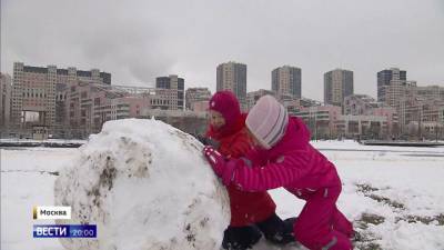 Кабы не было зимы: что говорят синоптики о погоде в Москве