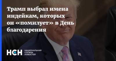 Трамп выбрал имена индейкам, которых он «помилует» в День благодарения