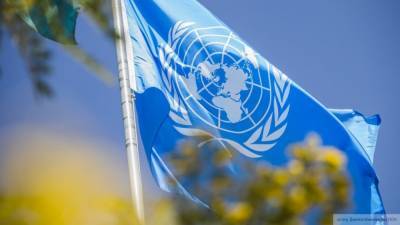 ООН выразила готовность сотрудничать с Россией для оценки потребностей НКР
