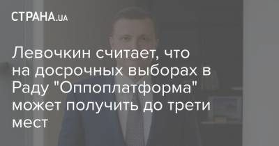Левочкин считает, что на досрочных выборах в Раду "Оппоплатформа" может получить до трети мест