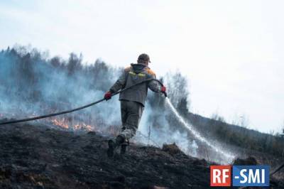 14 лесных пожаров потушили в Солнечногорске за сезон