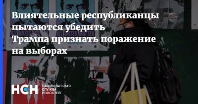 Влиятельные республиканцы пытаются убедить Трампа признать поражение на выборах