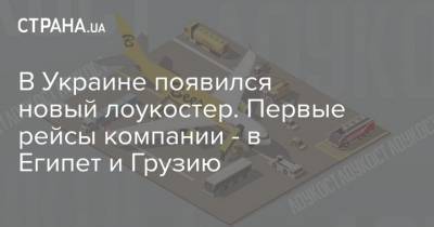 В Украине появился новый лоукостер. Первые рейсы компании - в Египет и Грузию
