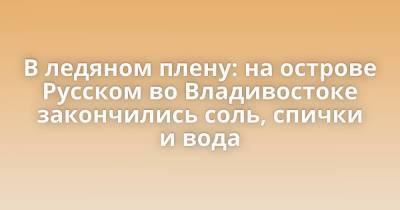 В ледяном плену: на острове Русском во Владивостоке закончились соль, спички и вода