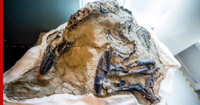 В США впервые показали скелет тираннозавра, который удивил ученых