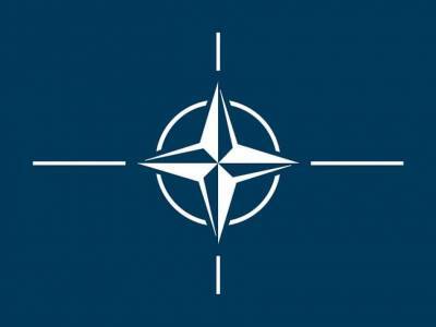 В США рассказали о «ловушке» НАТО для России