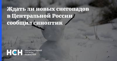 Ждать ли новых снегопадов в Центральной России сообщил синоптик