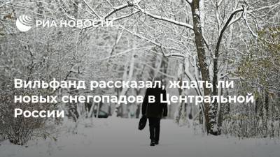 Вильфанд рассказал, ждать ли новых снегопадов в Центральной России