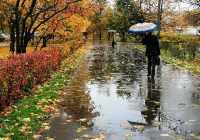 Прощальная улыбка осени: в Украину идет небывалое потепление - удивились даже синоптики