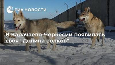 В Карачаево-Черкесии появилась своя "Долина волков"