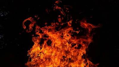 В Рязанской области сгорел грузовик, есть пострадавший
