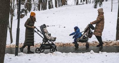 В России предложили упростить получение пособий на детей