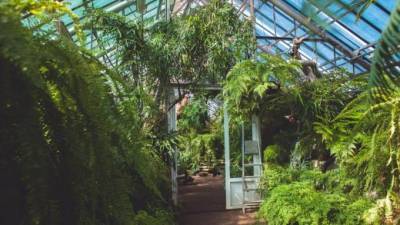 Ботанический сад перешел на зимний режим работы