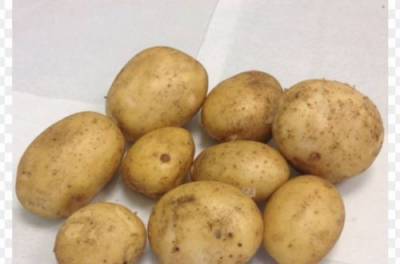 Какие блюда из картофеля считаются самыми вредными для здоровья