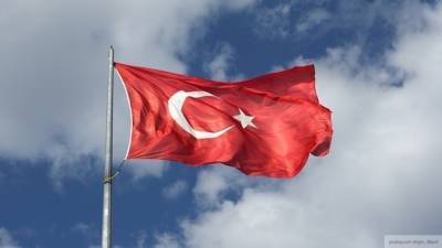 Парламент Турции раскритиковал борьбу с контрабандой оружия в Ливии