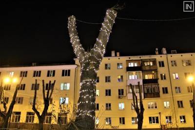 В Екатеринбурге обрезанные «пеньки» от тополей украсили гирляндой к Новому году