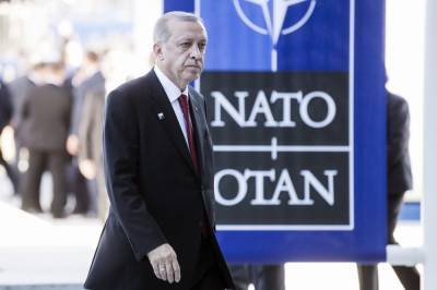 Пушков: Турция не выйдет из НАТО и не уйдет из Европы
