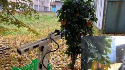 Россияне создали сверхдешевого умного робота для сбора яблок. Фото