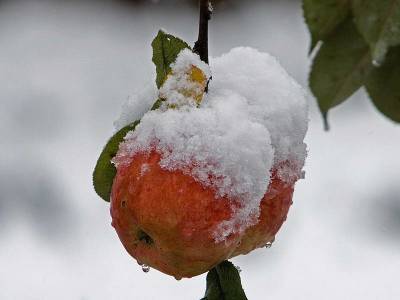 Осадки, гололедица и усиление ветра ожидаются в Беларуси 23 ноября