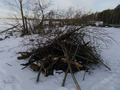 В Екатеринбурге полиция начала расследование вырубки деревьев на берегу Шарташа
