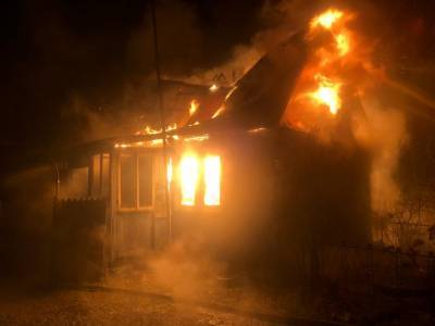 В Новоспасском районе сгорел дом. Погибли два человека