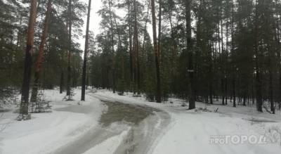 В Ворошиловском лесу Чебоксар мужчина напал на 15-летнюю девушку, но та стала кричать