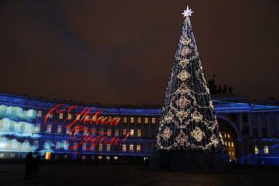 В Петербурге отменили встречу с Дедом Морозом на Дворцовой площади