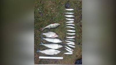 В акватории Финского залива поймали 53-летнего браконьера - piter.tv - окр.Сзфо