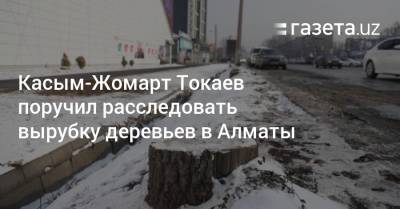 Касым-Жомарт Токаев поручил расследовать вырубку деревьев в Алматы