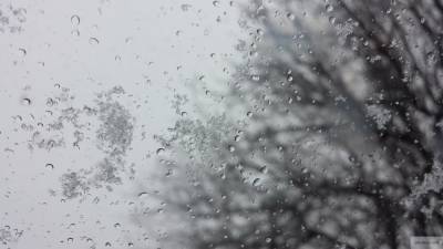 Мокрый снег ожидает петербуржцев во вторник