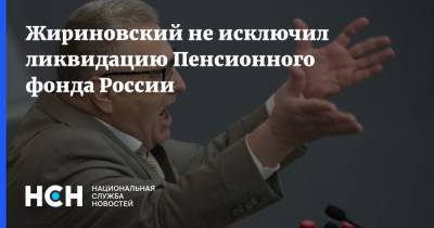 Жириновский не исключил ликвидацию Пенсионного фонда России