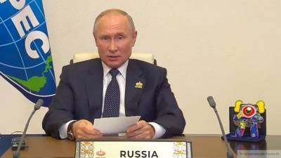 Организаторы саммита АТЭС рассказали, что за монстр стоял у Путина на столе