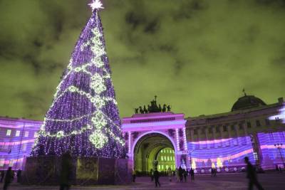 После праздников из новогодней елки на Дворцовой площади предлагают сделать поделки